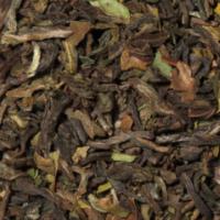 Darjeeling Tea Regular